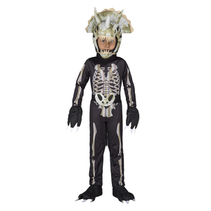 Fossil Dinosaur Costume