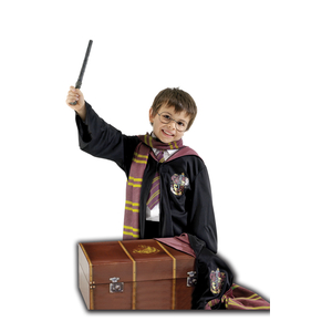 Harry Potter Trunk