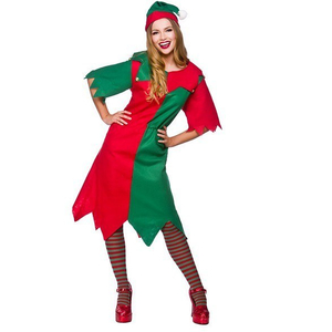 Lady Elf Costume