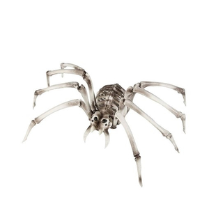 Skeleton Spider