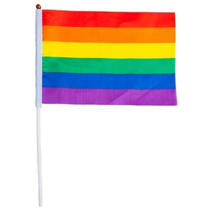 Rainbow Flag on stick