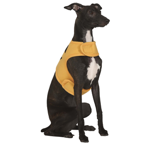 Pumpkin Tunic Dog Costume