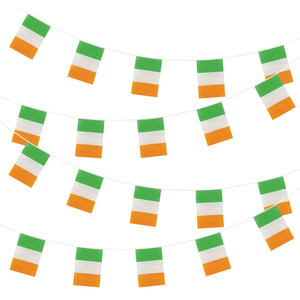 Ireland Bunting -20 Flags 31 x 20cm - 10m Length