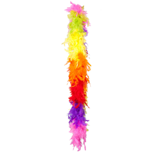 Rainbow Feather Boa - 50g