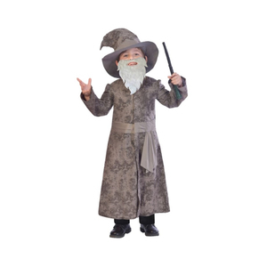 Wise Wizard Costume - Kids