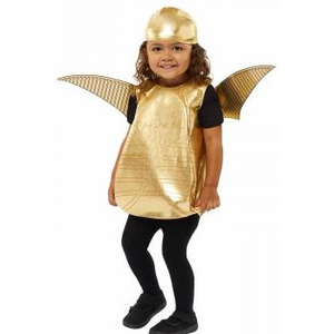 Golden Snitch Costume