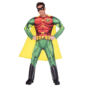 Robin Classic Costume