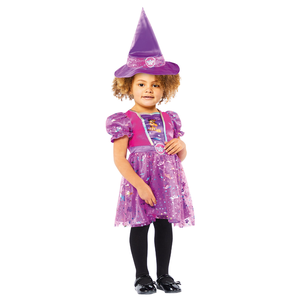 Paw Patrol Skye Witch Costume