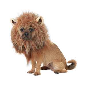 King Of The Jungle Dog Costume