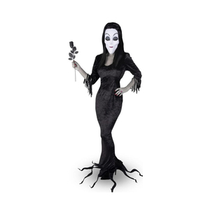 The Addams Family - Morticia Costume
