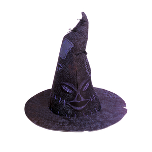 Harry Potter Sorting Hat