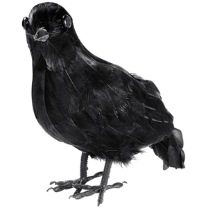 Feathered Crow