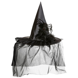 Spider Witch Hat
