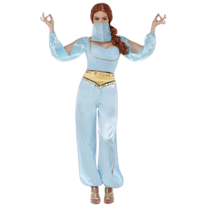 Arabian Princess Costume