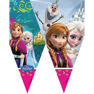 Frozen Banner
