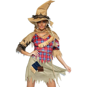 Sinister Scarecrow  Costume