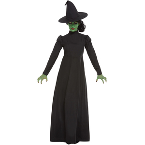 Wicked Witch Costume - Ladies