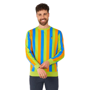 Sesame Street Bert Sweater - Adult