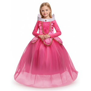 Deluxe Sleeping Beauty Costume