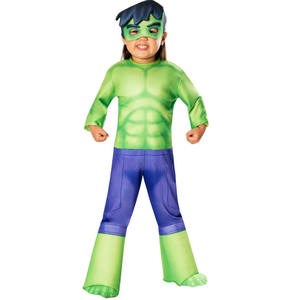 Spidey and His Amazing Friends - Hulk Costume
