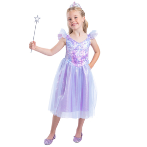 Fairy Princess Costume