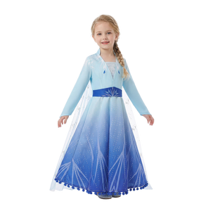 Frozen Princess Costume