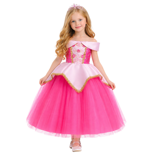 Deluxe Sleeping Beauty Costume
