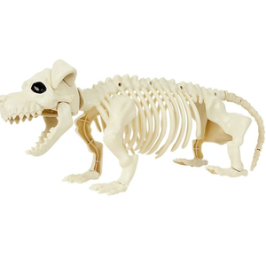 Dog Skeleton Prop