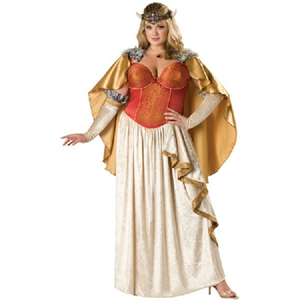 Viking Princess Costume