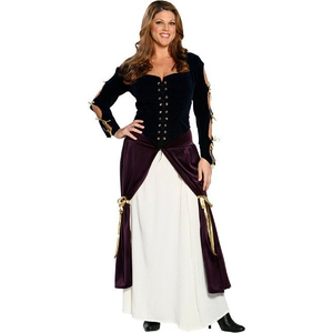 Lady Musketeer Fancy Dress