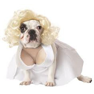 Silver Screen Starlet Costume