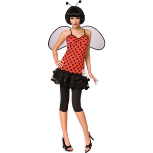 Red Lady Bug