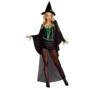 wicked witch costume