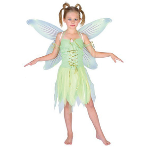 Neverland Fairy Costume