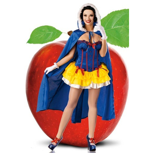 Fairy Tale Princess Ladies Costume