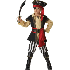 Pirate Scoundrel Costume