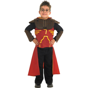 Deluxe quidditch robe