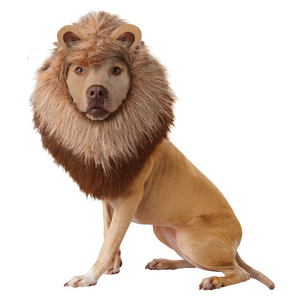 Lion Dog Costume