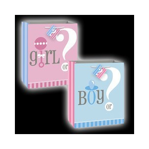 Gender Reveal Gift Bag