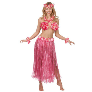 Hawaiian honey Costume