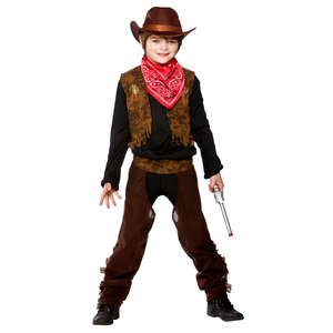 Wild West Cowboy