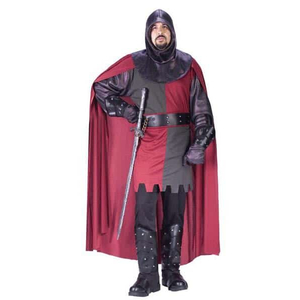 Valiant Knight Costume