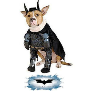 pet batman costume