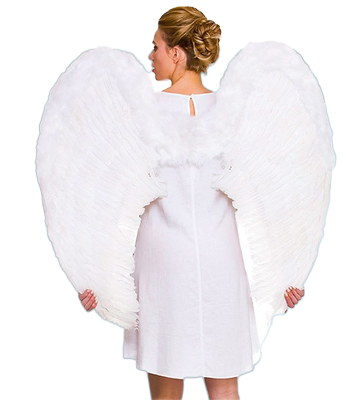 Costume Wings