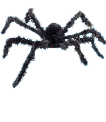 Halloween Part Decorations